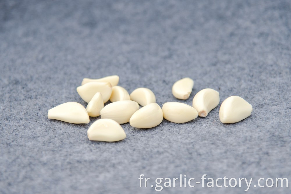 Fesh Peeled Garlic For Sale